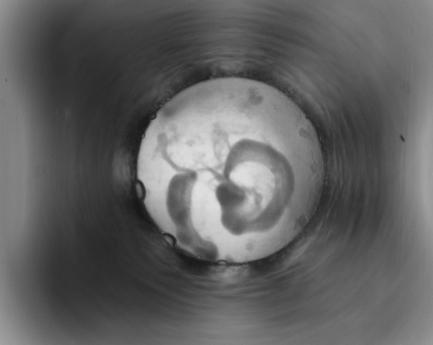 X0000091640135200709201115