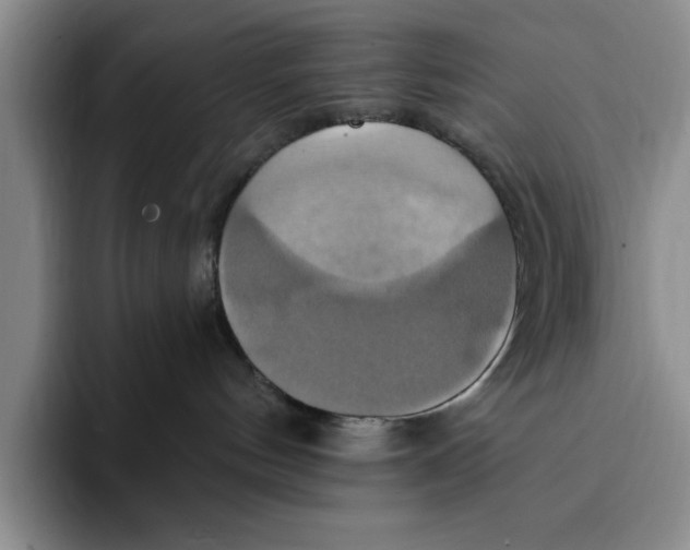 X0000091640144200709201115