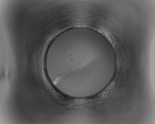 X0000091640145200709201114