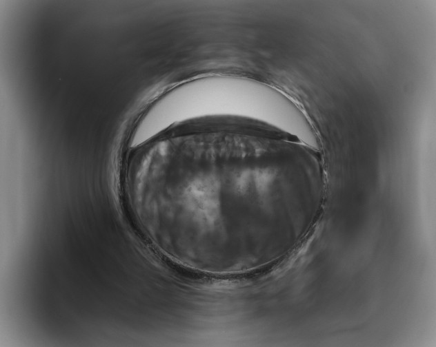 X0000091640149200709201114