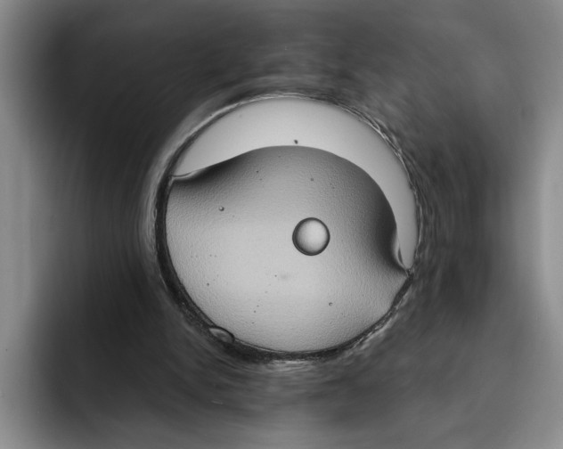 X0000091640150200709201114