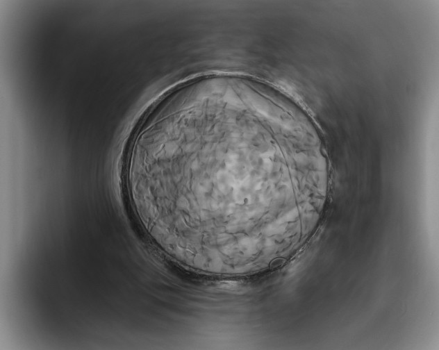 X0000091640151200709201114