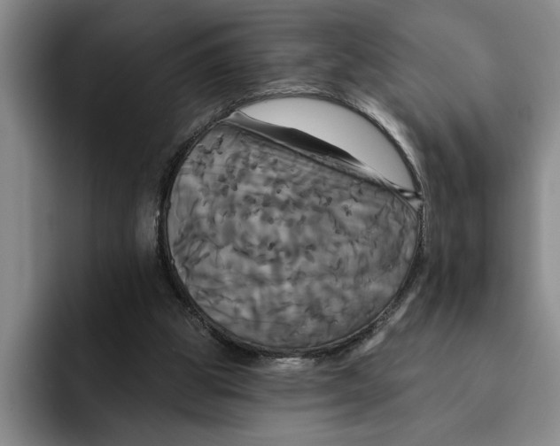 X0000091640153200709201114