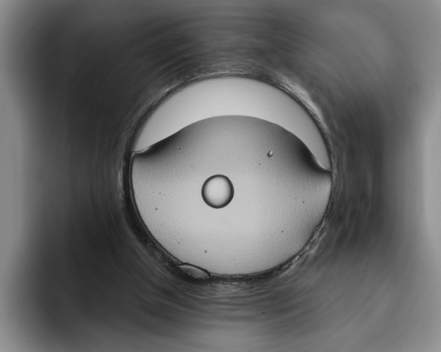 X0000091640154200709201114