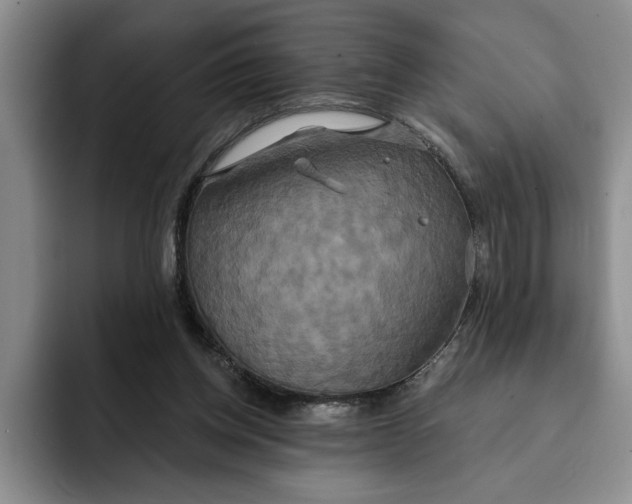 X0000091640158200709201114