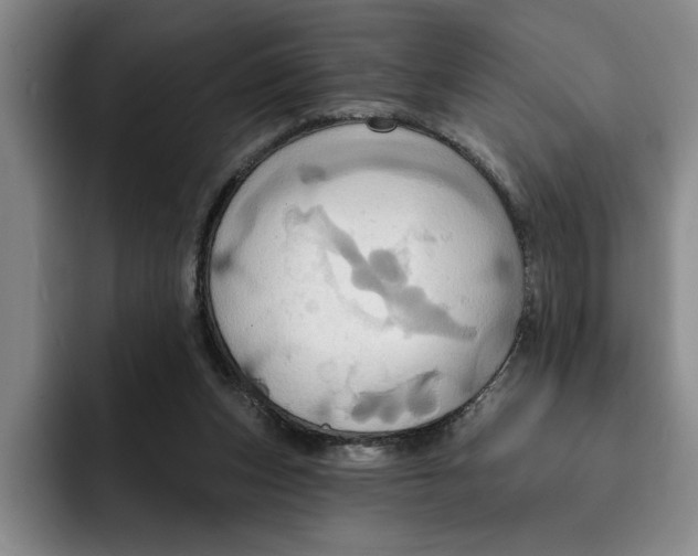 X0000091640159200709201114