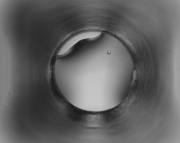 X0000091640160200709201114