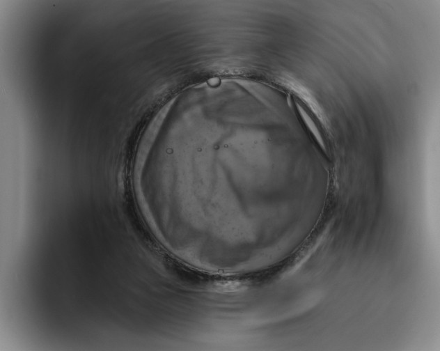 X0000091640161200709201114