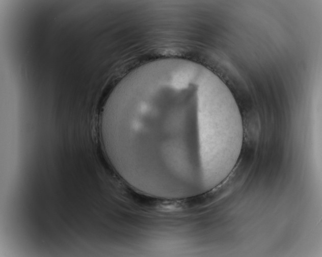 X0000091640175200709201114