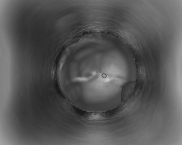 X0000091640177200709201115