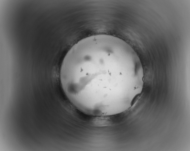 X0000091640179200709201115