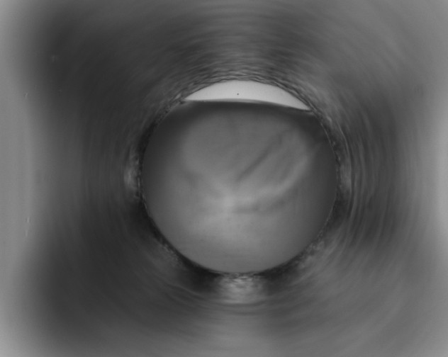 X0000091640181200709201115