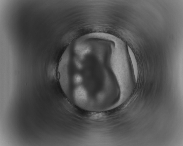 X0000091640185200709201115