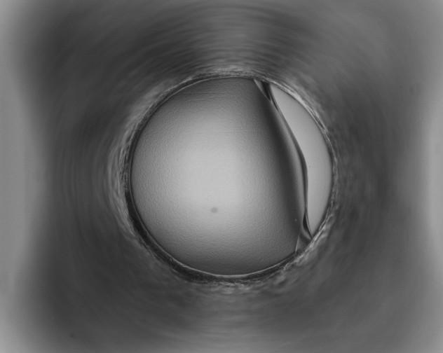 X0000091640193200709201114