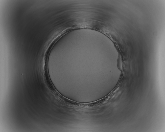 X0000091640194200709201114