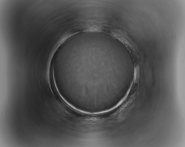 X0000091640195200709201114