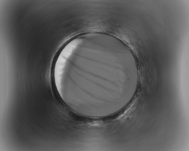 X0000091640196200709201114