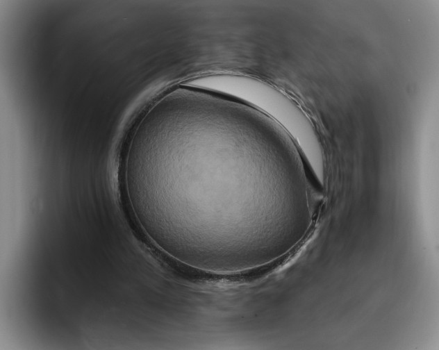 X0000091640197200709201114