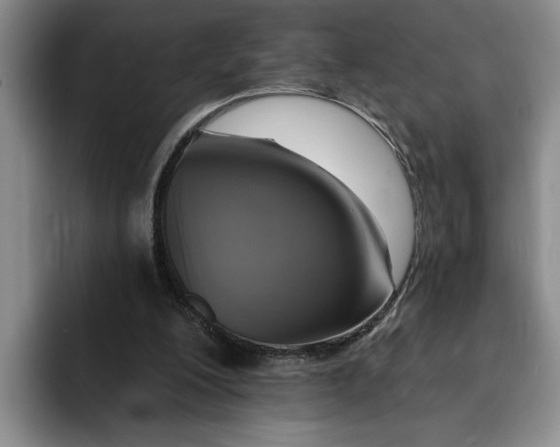 X0000091640200200709201114