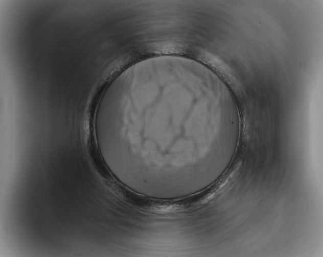 X0000091640202200709201114