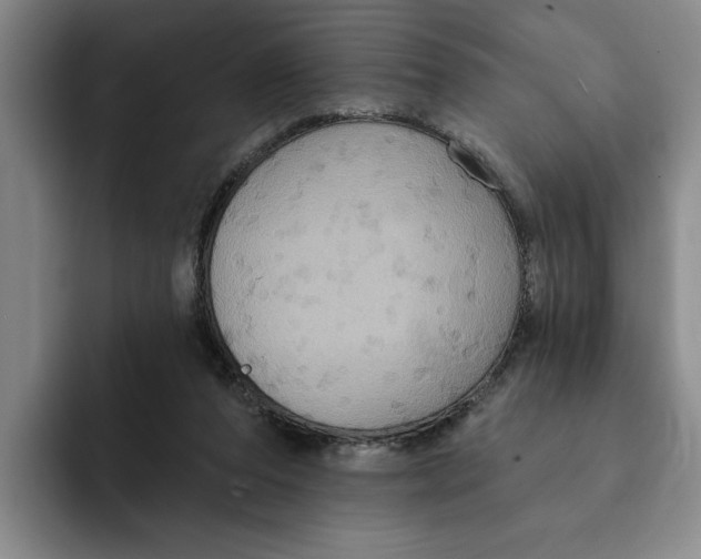 X0000091640208200709201114