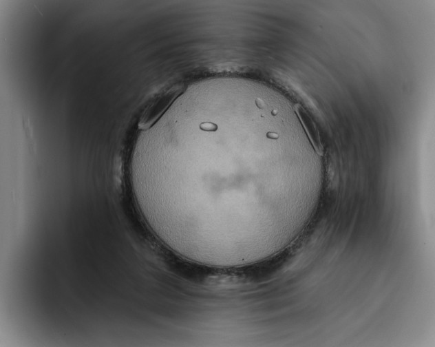 X0000091640211200709201114