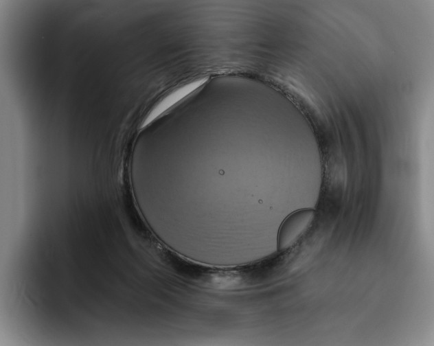 X0000091640214200709201114