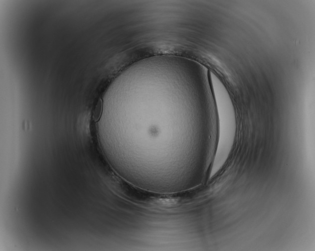 X0000091640217200709201114