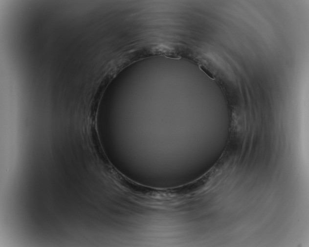 X0000091640223200709201114