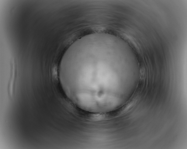 X0000091640238200709201114