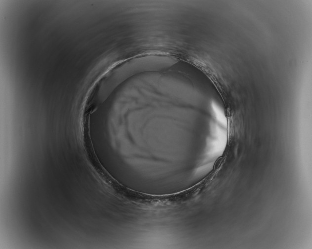 X0000091640243200709201113