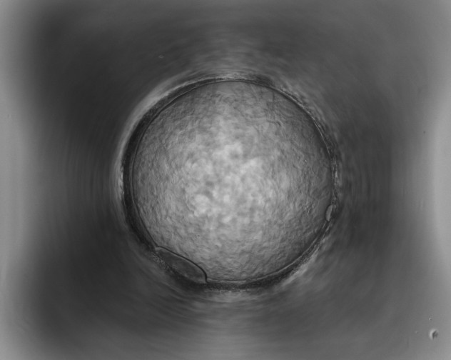 X0000091640246200709201113