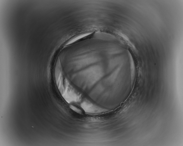 X0000091640250200709201113