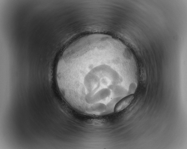 X0000091640255200709201113