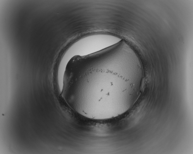 X0000091640256200709201113