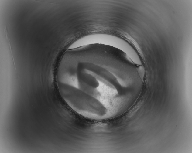 X0000091640257200709201113