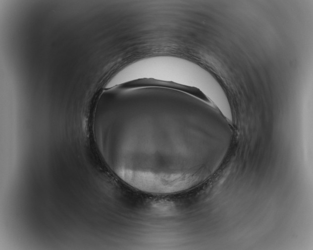 X0000091640258200709201113