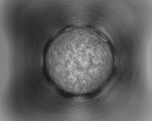 X0000091640259200709201113