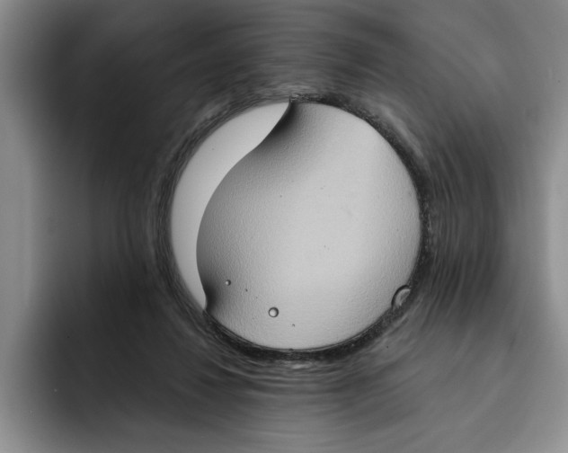 X0000091640260200709201113