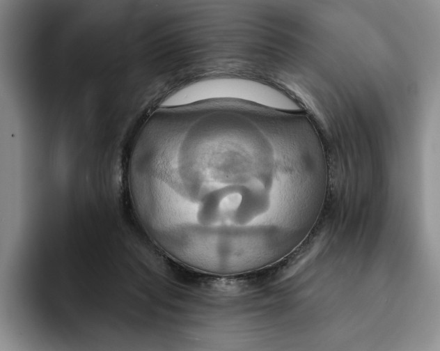 X0000091640261200709201113