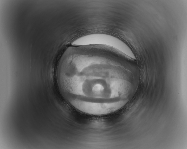 X0000091640263200709201113