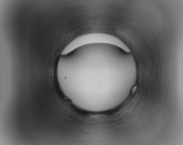 X0000091640268200709201113