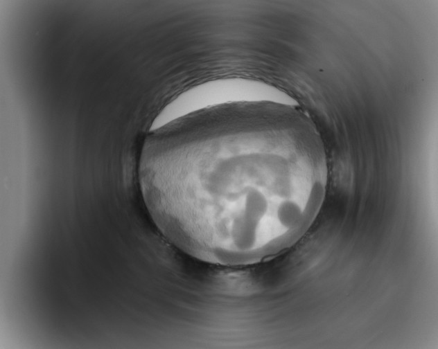 X0000091640283200709201114