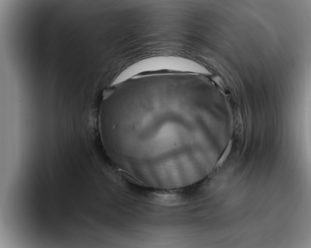 X0000091640284200709201114