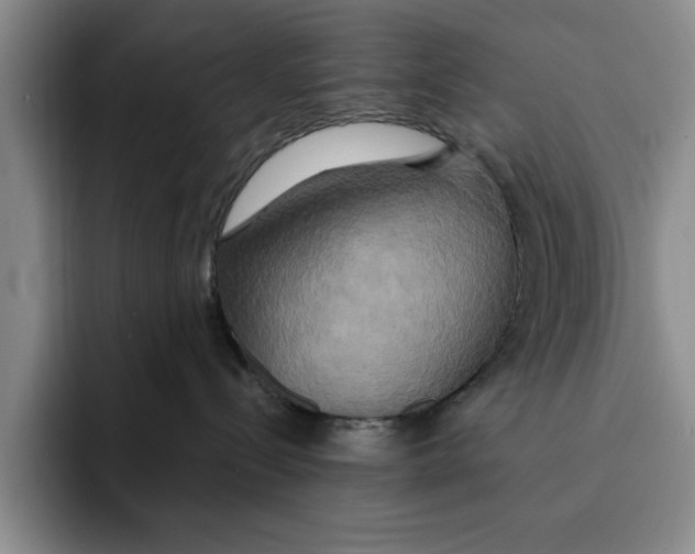 X0000091640288200709201114