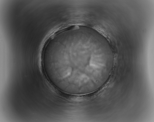 X0000091640293200709201113