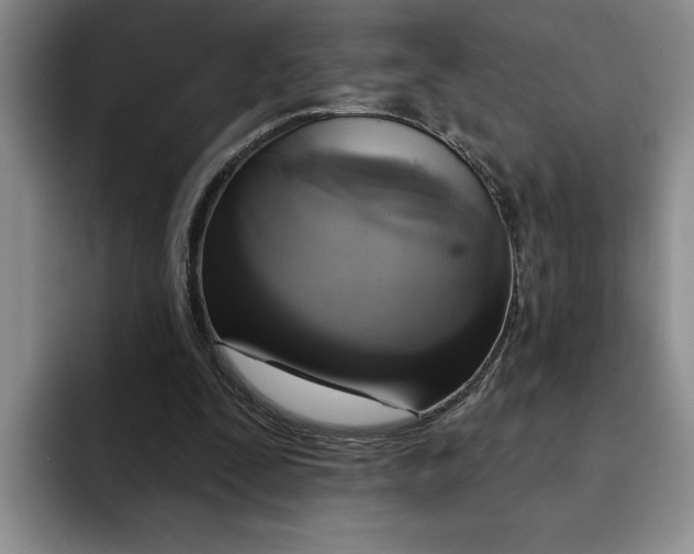 X0000091640295200709201113