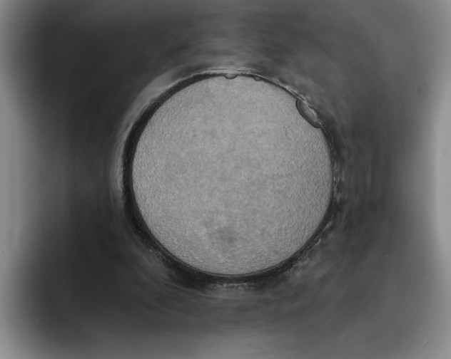 X0000091640296200709201113