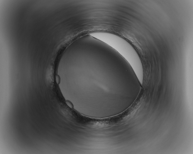 X0000091640303200709201113