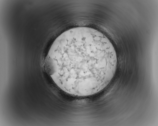 X0000091640307200709201113